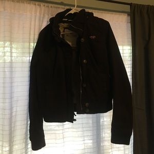 Hollister Winter Jacket