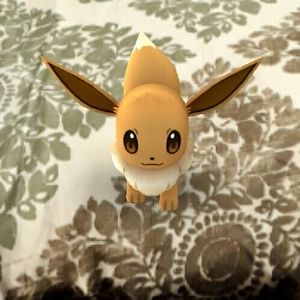 Meet your Posher, Erika