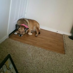 Meet your Posher, Kelsey