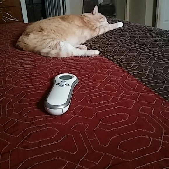 Meet your Posher, Brenda - Picture 1 of 1