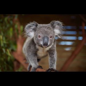 Meet your Posher, Wendy