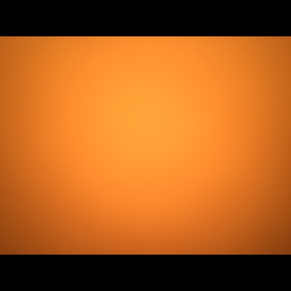 Meet your Posher, Kaylah - Picture 1 of 1