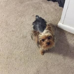 Meet your Posher, Sherrie