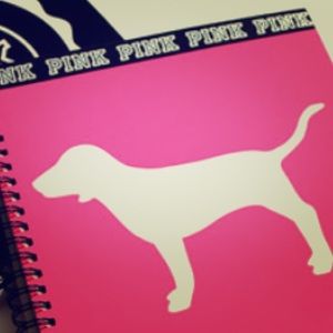 Meet your Posher, Kara