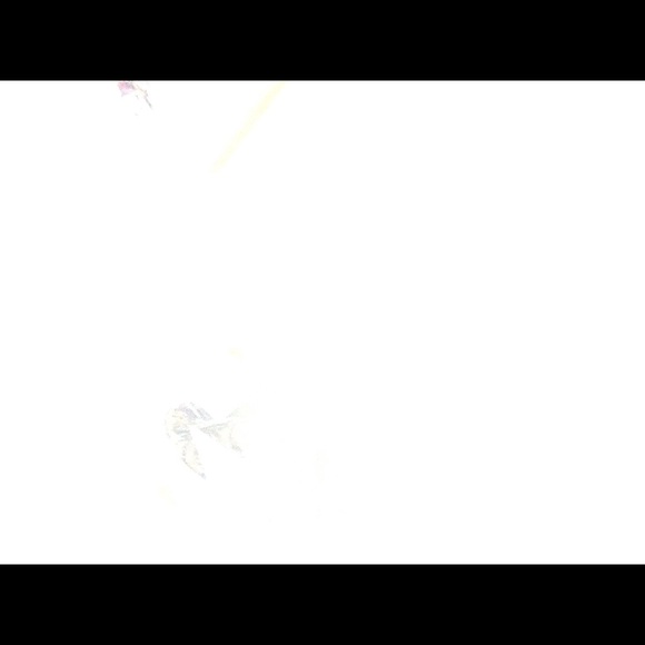 Meet your Posher, Bree - Picture 1 of 1