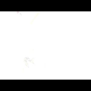 Meet your Posher, Bree