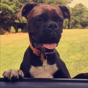 Meet your Posher, Hannah