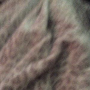 Meet your Posher, Kaylee