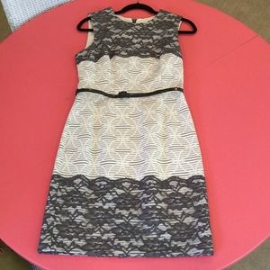 Maggy London Belted Dress