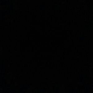 Meet your Posher, Shaylandria