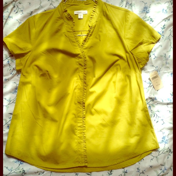 Coldwater Creek Subtle Ruffle Button Down Top