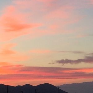 Meet your Posher, Brittney