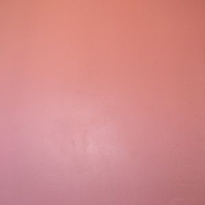 Meet your Posher, Bella