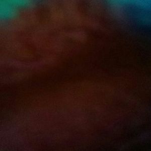 Meet your Posher, Daun