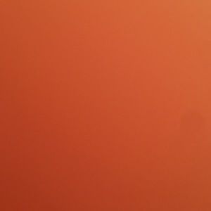 Meet your Posher, Janie