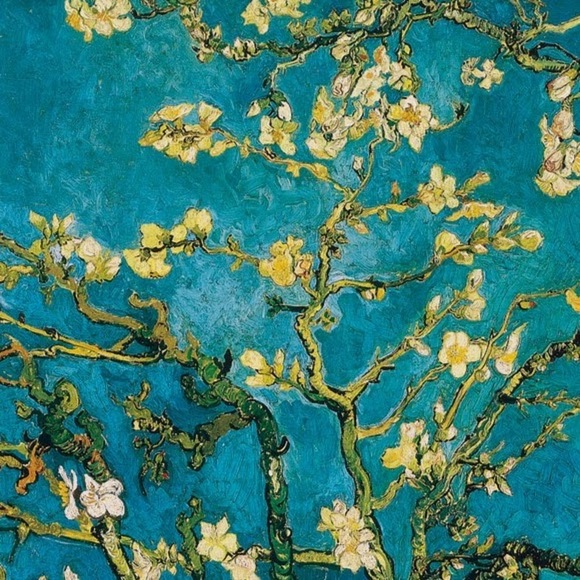 Meet your Posher, Rocky