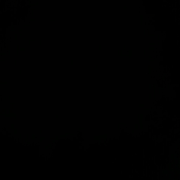 Meet your Posher, Kimberly - Picture 1 of 1