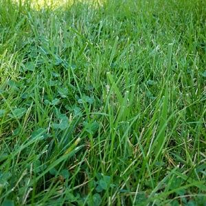 Meet your Posher, Melinda