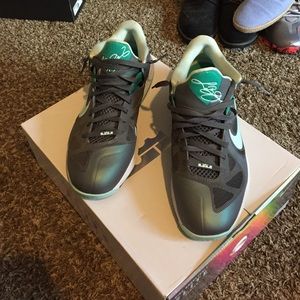 Lebron 9 (low) size 13