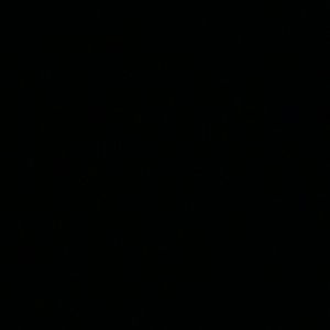 Meet your Posher, Dee