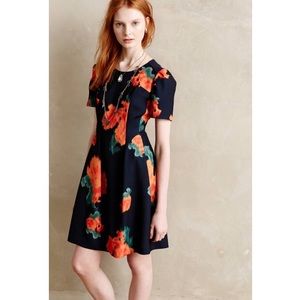 Anthropologie Dress