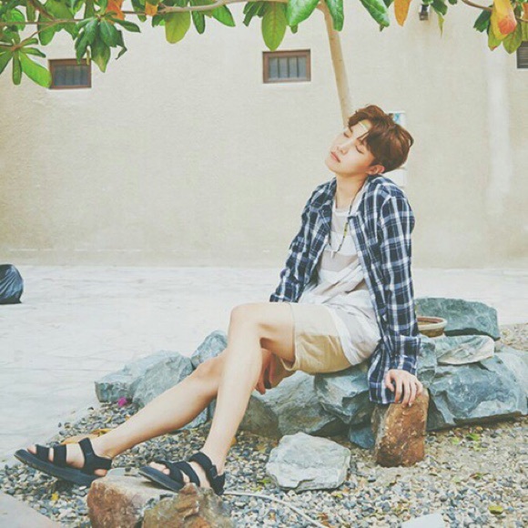 Meet your Posher, Sierra - Picture 1 of 1