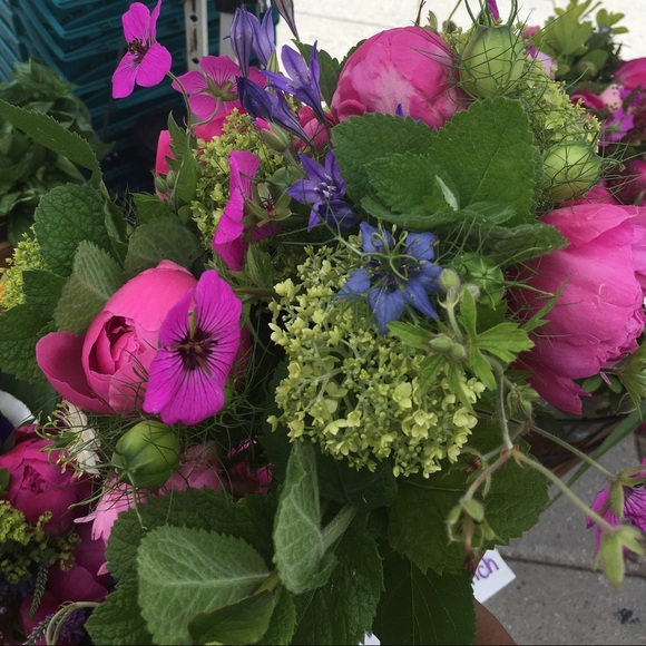 Meet your Posher, Kay