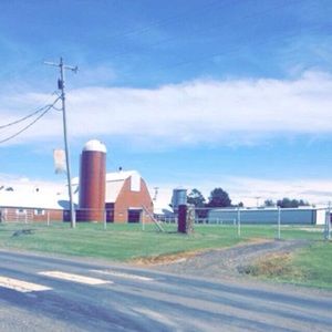 Meet your Posher, Karly