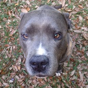 Meet your Posher, Summer