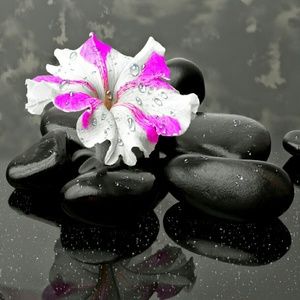 Meet your Posher, Stacey