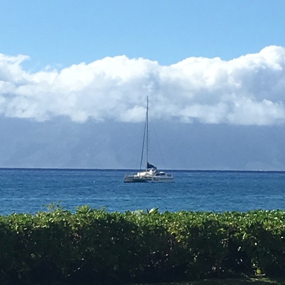 Meet your Posher, SoSo - Picture 2 of 2