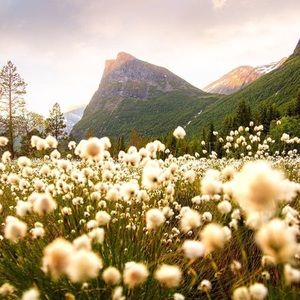 Meet your Posher, Taina