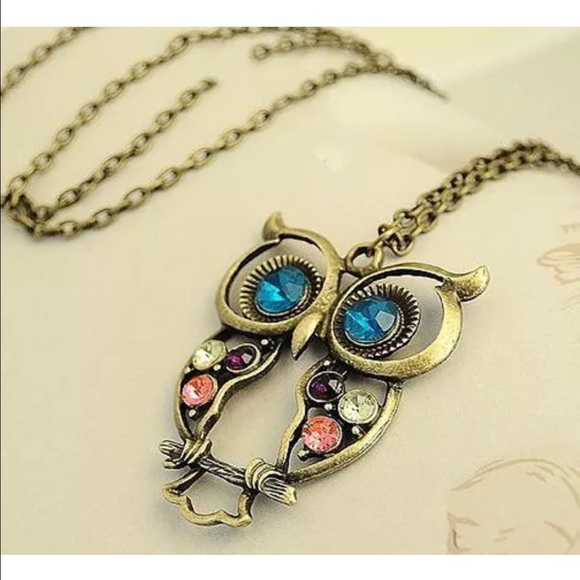 Jewelry - ❤️Bronze Owl Necklace❤️