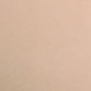 Meet your Posher, Lashay