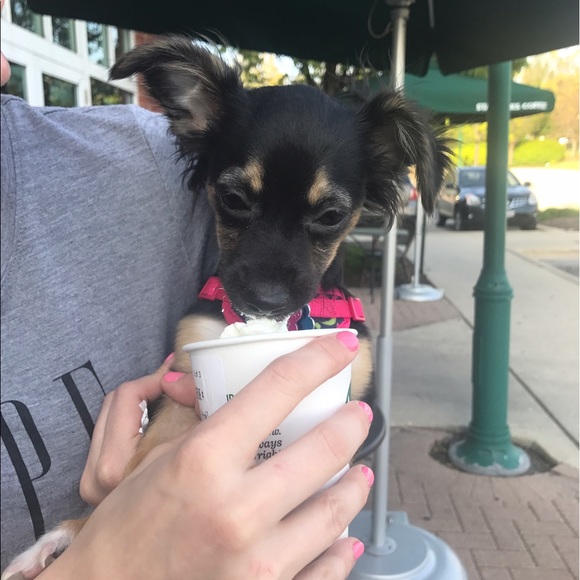 Meet the Posher - Picture 3 of 5