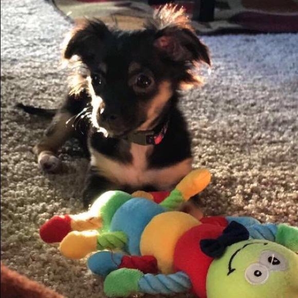 Meet the Posher - Picture 4 of 5