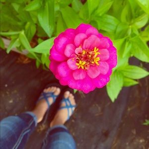 ✨TEVA Blue Flip Flops✨