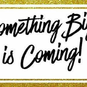 Meet your Posher, Simone