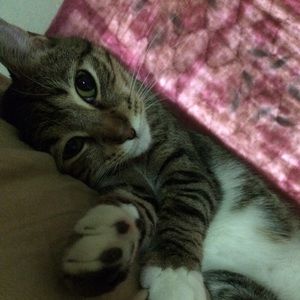 Meet your Posher, Casey