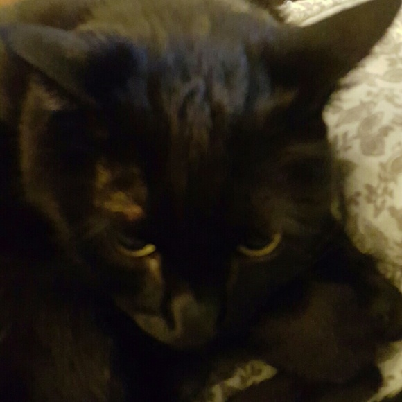 Meet your Posher, Liz