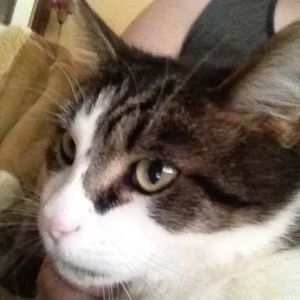 Meet your Posher, Saraid