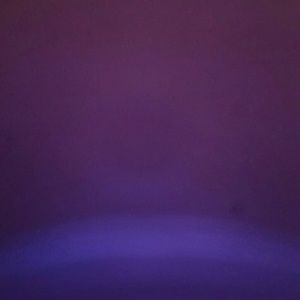 Meet your Posher, Travon