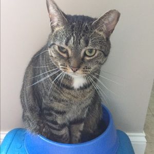 Meet your Posher, Pamela