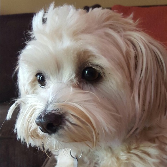 Meet your Posher, Robin