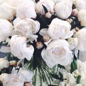 Meet your Posher, Jen