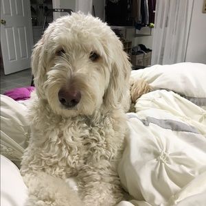 Meet your Posher, Christine