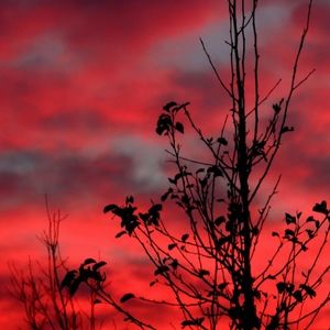 Meet your Posher, Frank