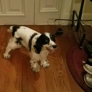 Meet your Posher, Jamie