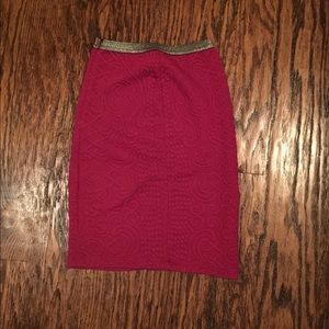 Anthropologie Pencil Skirt, XS