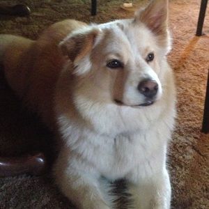 Meet your Posher, Pam